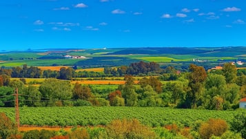 Donzen dekbedden, een kluis op de kamer, een bureau, een laptopwerkplek