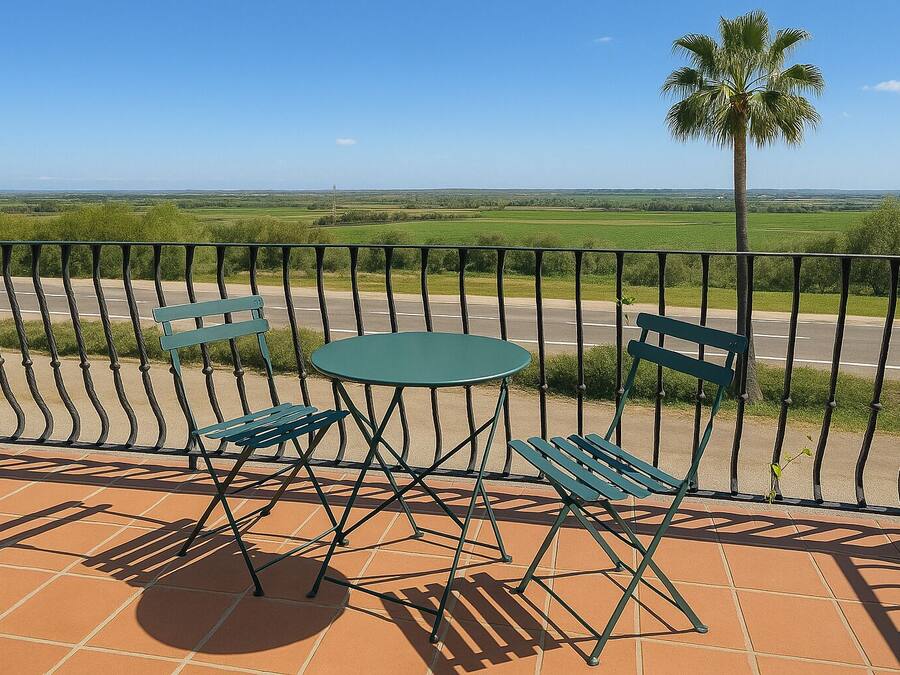 A terrace with a table and chairs, a palm tree, and a view of a road and fields.