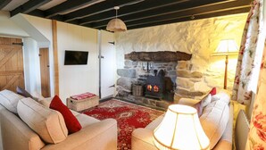 Un salon chaleureux avec une cheminée en pierre, deux canapés, un tapis à motifs rouges et un luminaire suspendu.
