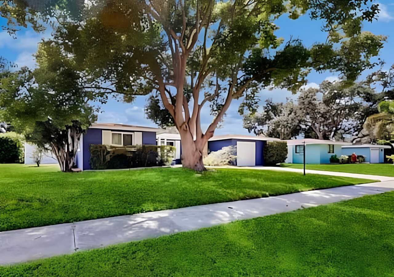 A residential area with a large tree, a well-maintained lawn, and a sidewalk.