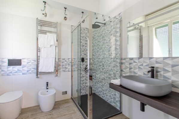 Shower, hair dryer, bidet, towels