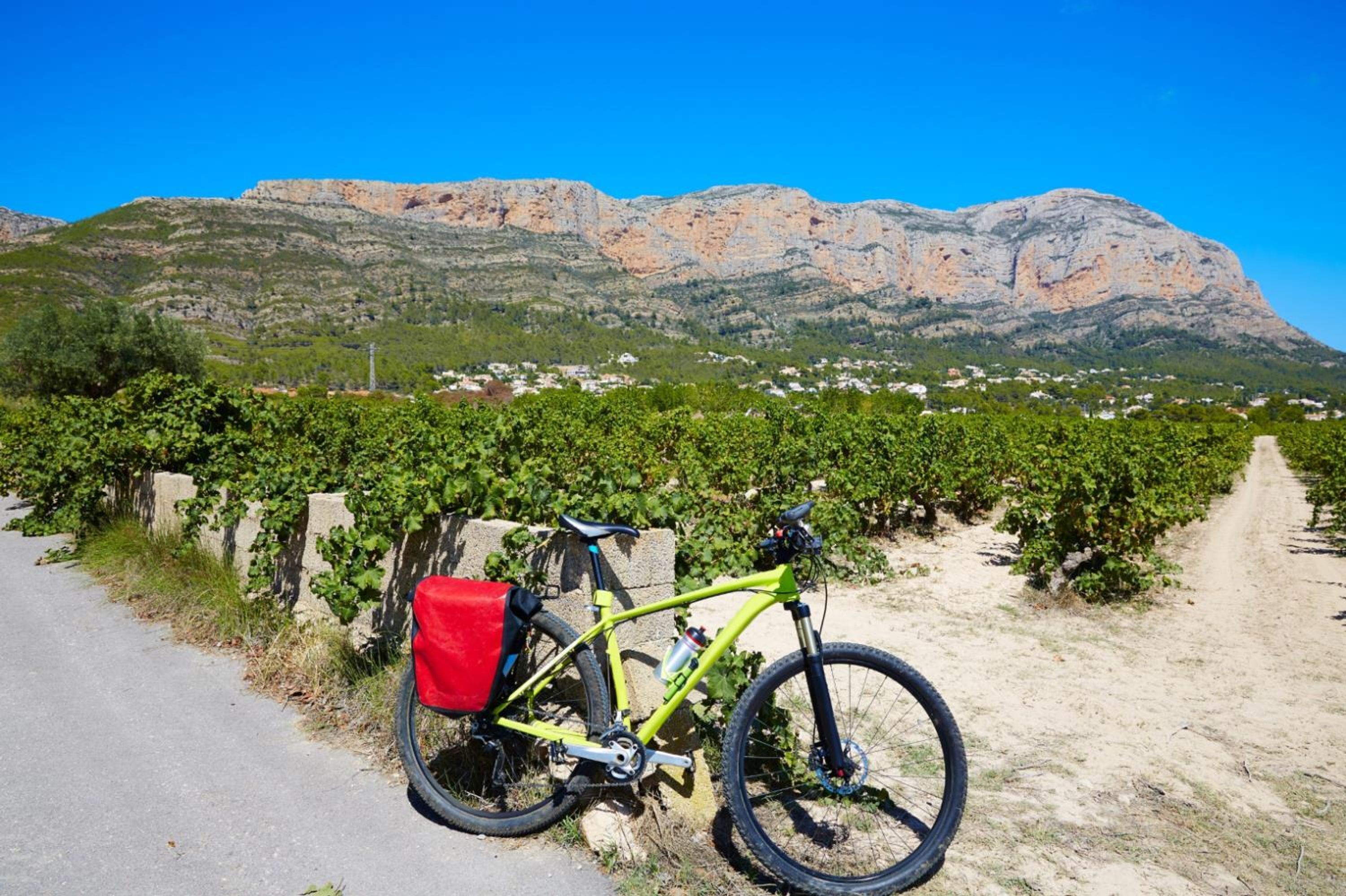 A bicycle parked on a path with a vineyard and mountains in the background.