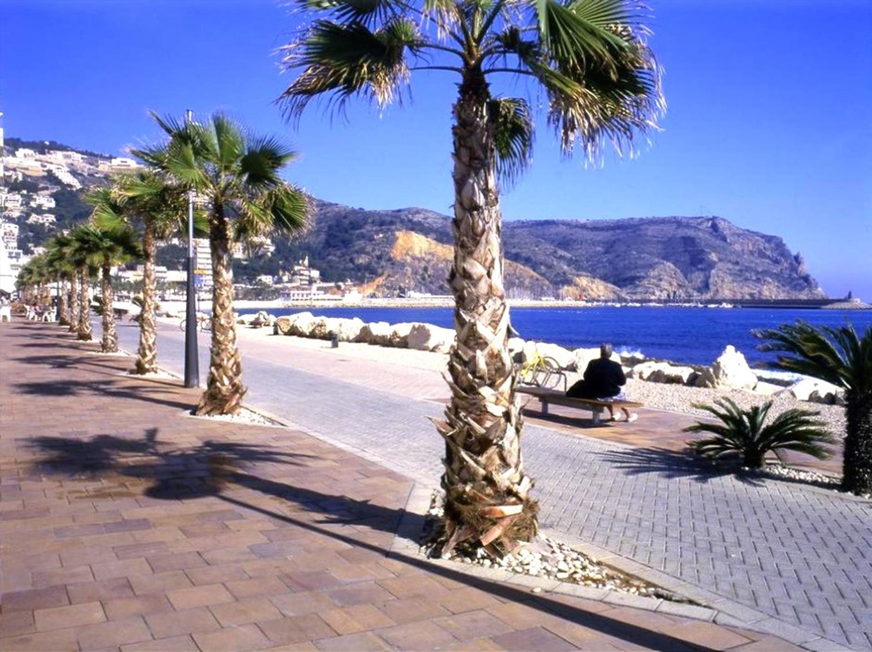 Un paseo marítimo con palmeras, un banco y vista al mar y una montaña al fondo.