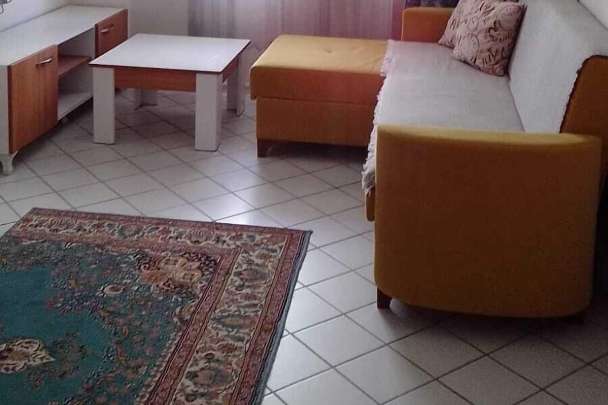 Televisión de plasma de 45 cm con canales vía satélite