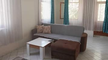 45-厘米等离子电视(配备卫星频道)