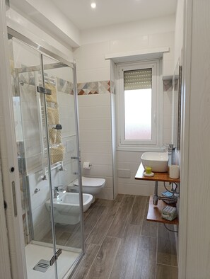 Shower, hair dryer, bidet, towels
