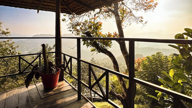 A wooden deck with a railing, a potted plant, and a view of a landscape with trees and hills. -  Entire Property:1BHK Cottage with Attic,Kitchen & Sunset View Deck |Near Munnar (Kambilikandam)