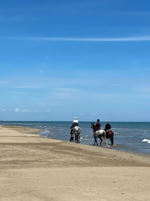 On the beach, sun loungers