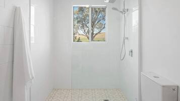 Shower, towels, toilet paper
