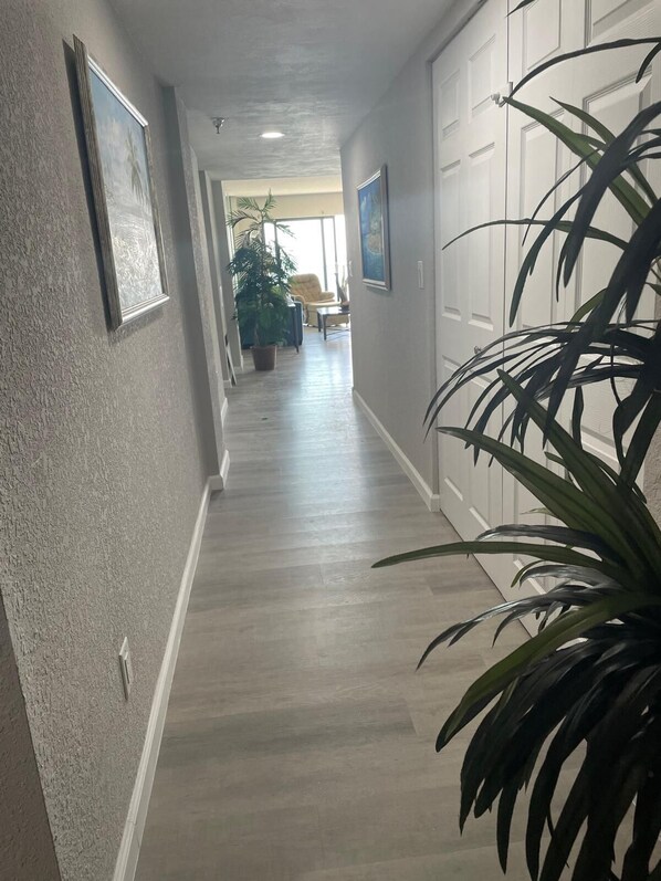 Un pasillo con piso de madera, cuadros en las paredes, una planta en maceta y una puerta al final.