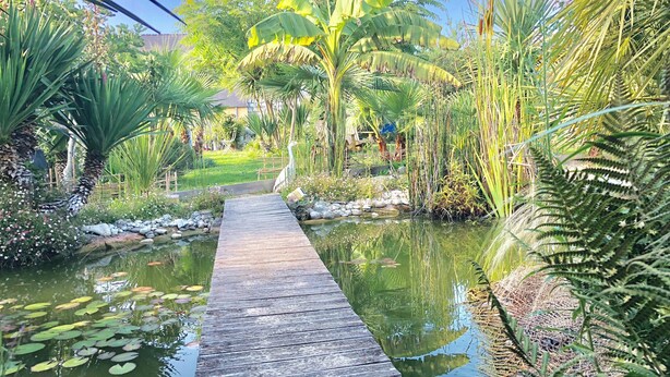 Ein hölzerner Weg führt durch einen Garten mit einem Teich, umgeben von verschiedenen tropischen Pflanzen und einem strahlend blauen Himmel.
