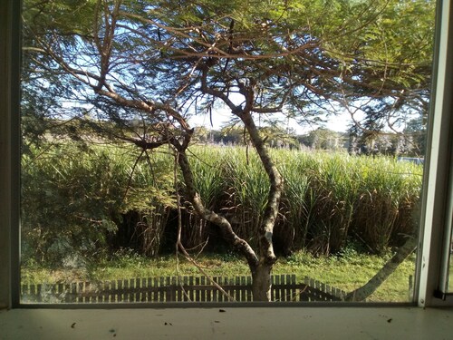 Pet friendly ground level of 2-storey house with rural views