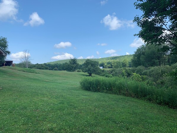 Terrain de l’hébergement 