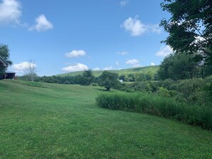 Property grounds - Cozy cabin with WiFi and AC in serene Watkins Glen. (Watkins Glen)