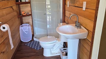 Shower, hair dryer, towels, toilet paper