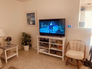 Télévision