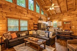 Fernseher, Kamin, Videospiele, Bücher