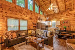 TV, fireplace, video games, books