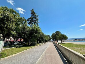 A paved walkway lined with trees and benches, leading towards a body of water. - Apartman Dalma  (Crikvenica)