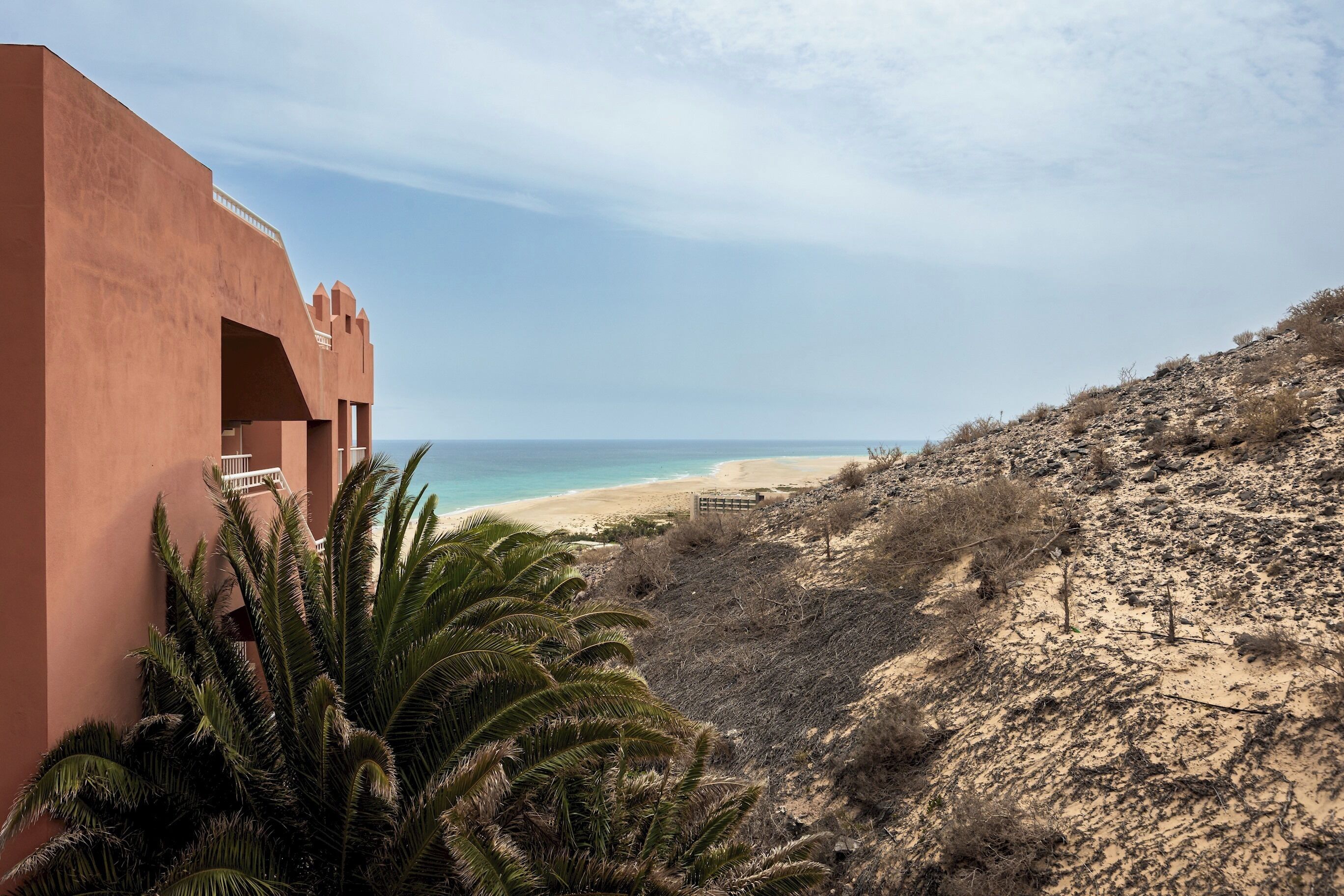 A coastal view with a sandy beach, a palm tree, and a building with a balcony overlooking the ocean.