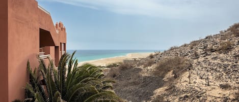 A coastal view with a sandy beach, a palm tree, and a building with a balcony overlooking the ocean.