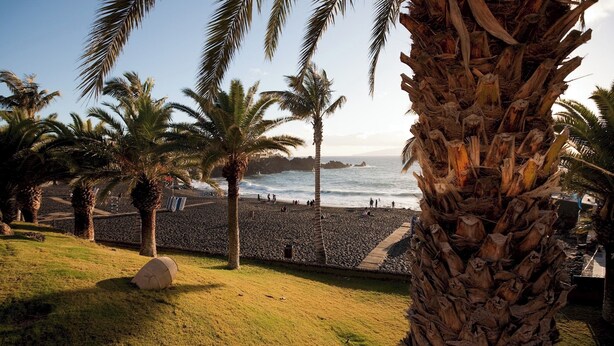 A beach with palm trees, a rocky shoreline, and a clear view of the ocean. - Home2Book Sunset Terrace & Pool Haven (Puerto Santiago)