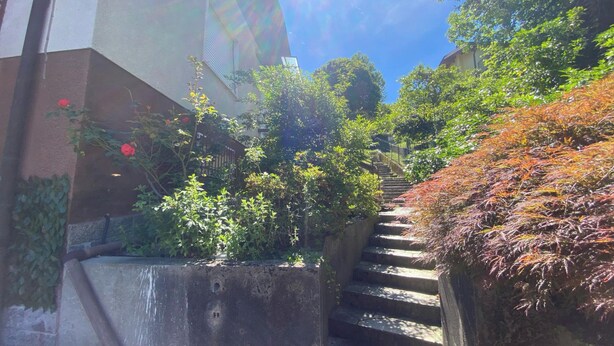 Un escalier en béton menant à un bâtiment doté d’un espace jardin.