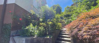Between lakes and mountains a detached cottage with garden and view.
