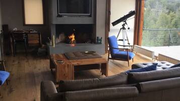 Smart TV, chimenea, libros