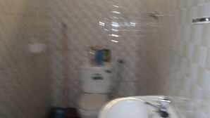 Un baño con inodoro y lavabo.