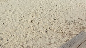Ein Sandstrand mit klarem, blauem Wasser und einer entfernten Bergkette.