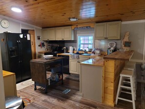 Fridge, microwave, oven, stovetop - Lakefront on Nottely! Family retreat on single level with covered boat slip. (Blairsville)