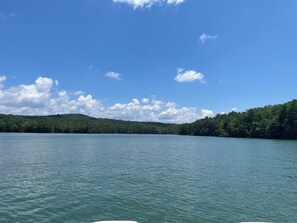 A calm lake with a forested shoreline under a clear sky. - Lakefront on Nottely! Family retreat on single level with covered boat slip. (Blairsville)