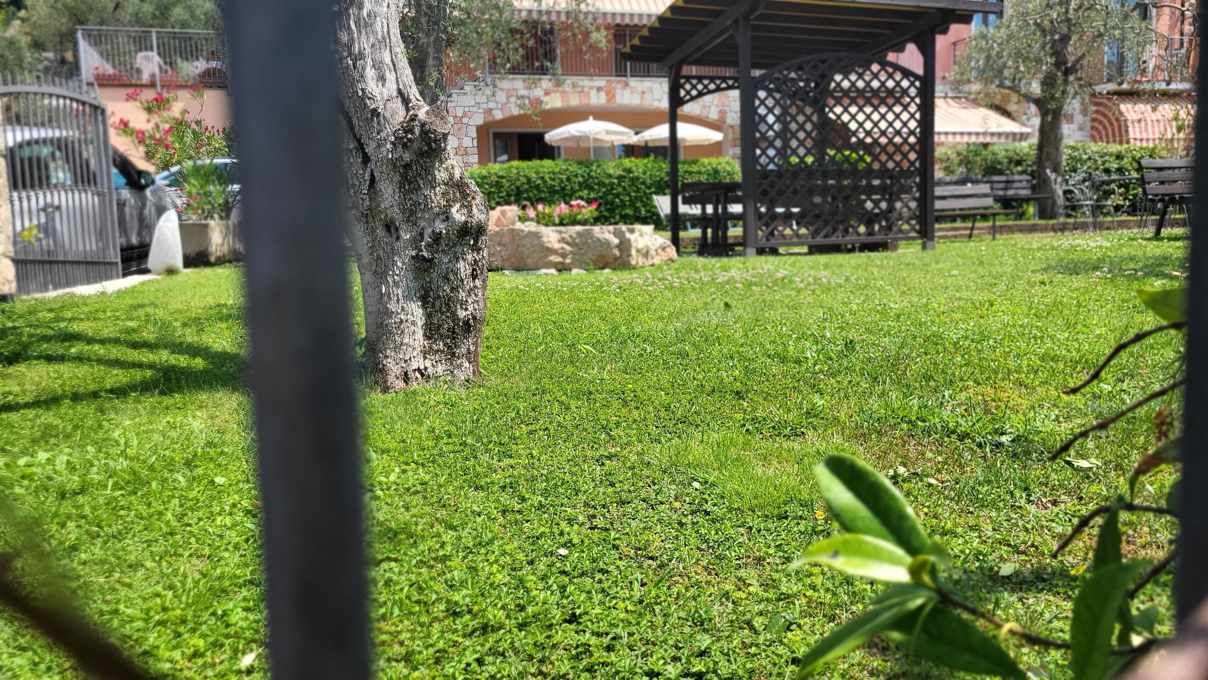 A well-maintained grassy area with a tree, a gazebo, and a stone wall in the background.