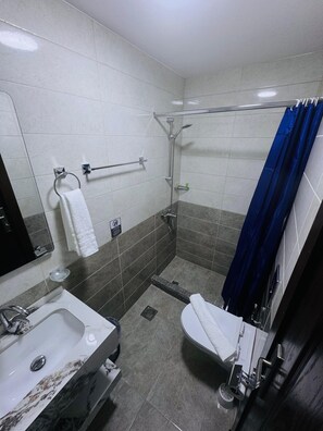 Baignoire et douche séparées, sèche-cheveux, shampoing, papier toilette