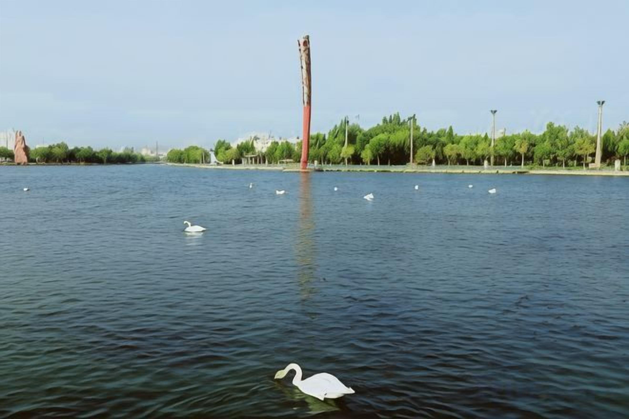 Un cuerpo de agua con cisnes y una estructura alta de color rojo al fondo.