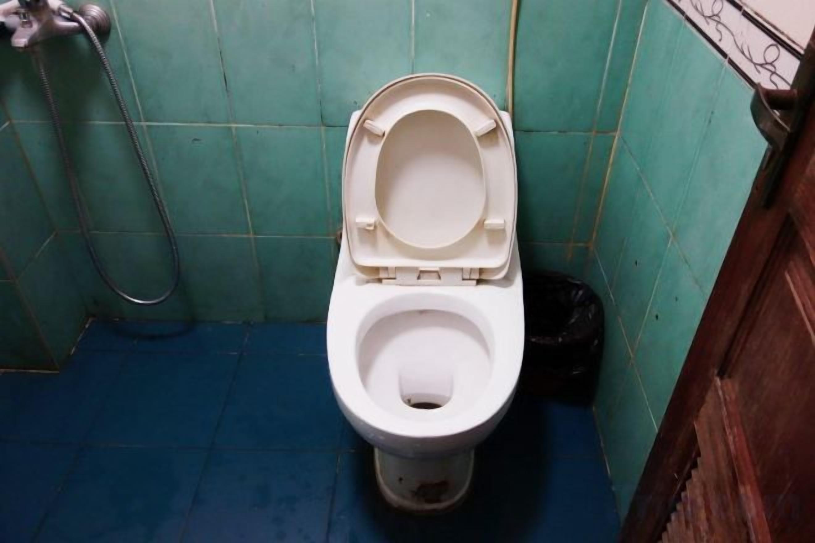 Un inodoro con el asiento cerrado en un baño pequeño con piso azul y paredes verdes.