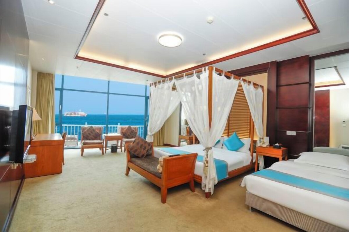 A hotel room with a large window, a bed with a canopy, a sofa, and a TV.