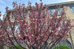 Immagine non classificata, 3 di 59, pulsante