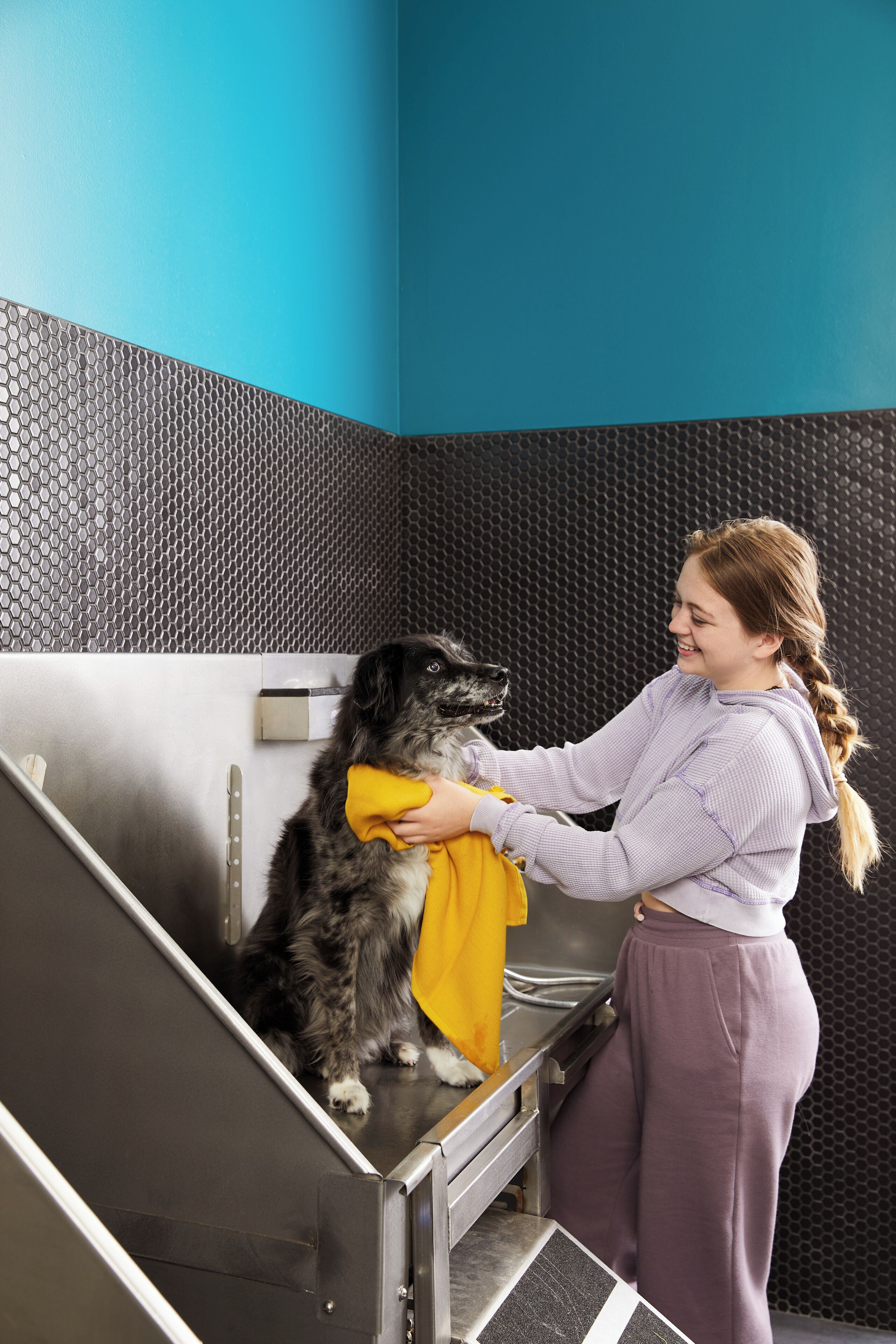 Ein Hund wird in einer Edelstahl-Badewanne gewaschen, mit einer blauen Wand und einer Wabenstruktur an der Wand dahinter.