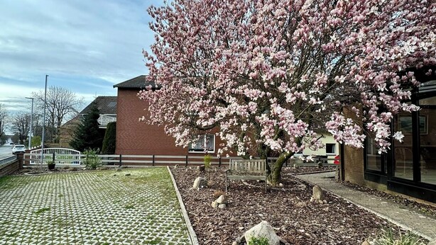 En anlagt gårdsplads med et blomstrende træ, en murstensbygning og en bænk.