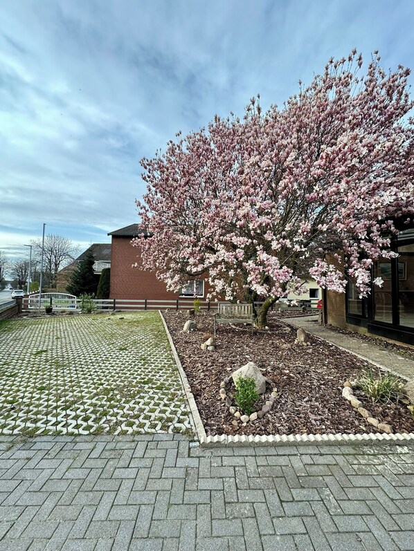 Property grounds - New build studio with terrace in Steinhude - central, quiet location - 5 min to the sea (Wunstorf)