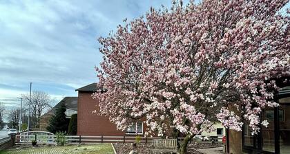 Neubau Studio mit Terrasse in Steinhude - zentrale, ruhige Lage - 5 min zum Meer