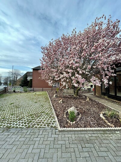 New build studio with terrace in Steinhude - central, quiet location - 5 min to the sea