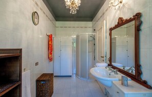 Shower, hair dryer, bidet, towels
