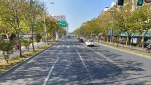 Una amplia carretera bordeada de árboles, con coches estacionados al borde.