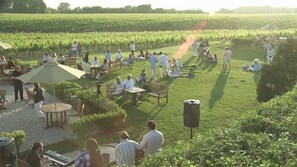 Eine Open-Air-Veranstaltung mit sitzenden und stehenden Menschen auf einer Rasenfläche, umgeben von Weinbergen.