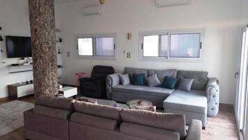 TV connectée, cheminée, jeux vidéo, lecteur de DVD