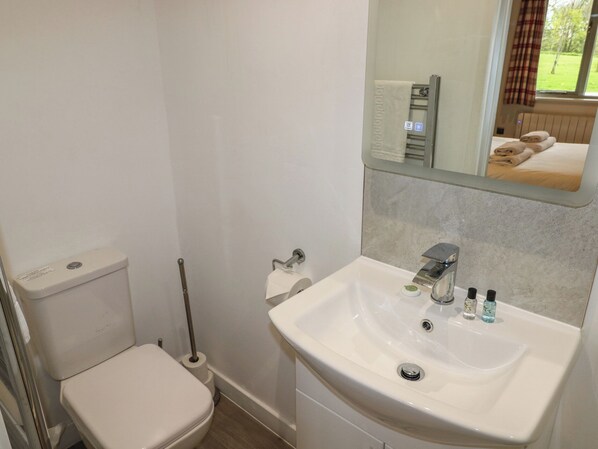Une salle de bain avec des toilettes, un lavabo et un miroir.