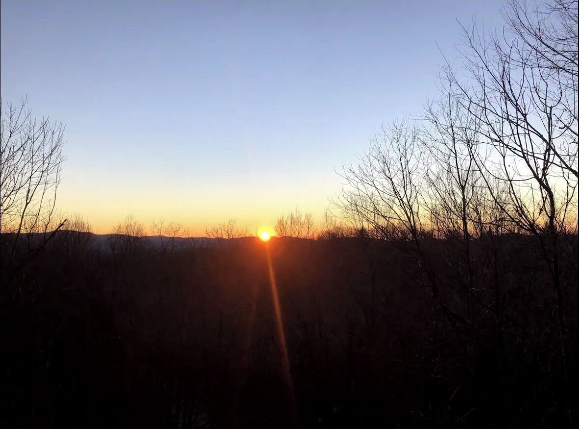 A sunset over a barren landscape with leafless trees and a clear sky.